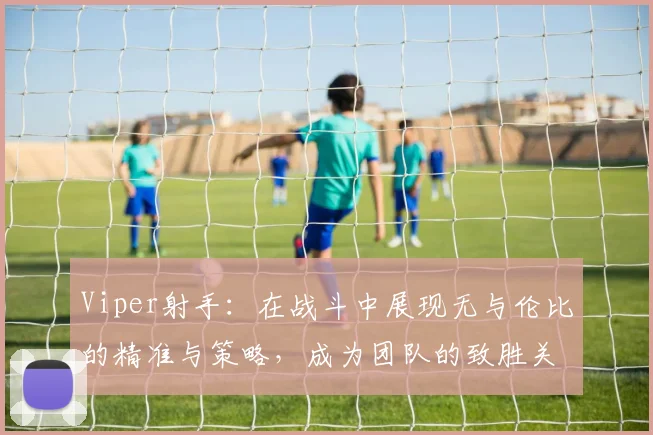 Viper射手：在战斗中展现无与伦比的精准与策略，成为团队的致胜关键